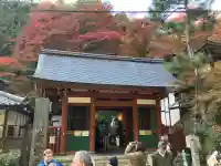 愛宕念仏寺(京都府)