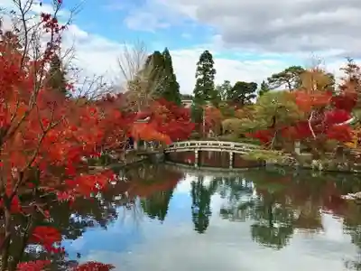 禅林寺(永観堂)(京都府)