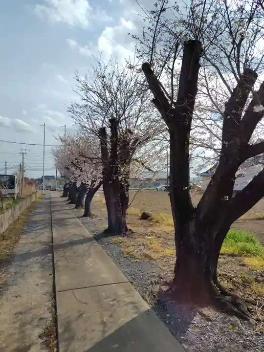 八幡神社(埼玉県)