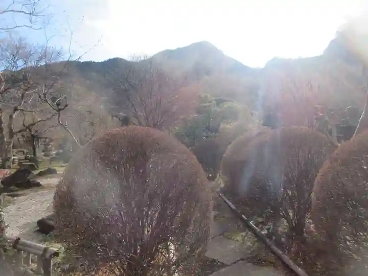 長泉院(埼玉県)