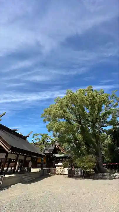 和泉國一之宮 大鳥大社(大阪府)