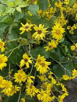 太部古天神社(岐阜県)