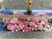 札幌伏見稲荷神社(北海道)