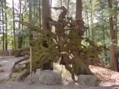 水屋神社(三重県)