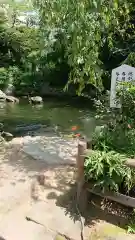 愛宕神社の庭園