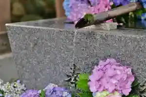 高司神社〜むすびの神の鎮まる社〜の手水舎 2023年07月07日(金)〜(2023年07月03日(月) 09時59分38秒投稿)