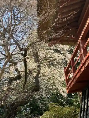 光丸山 法輪寺の自然