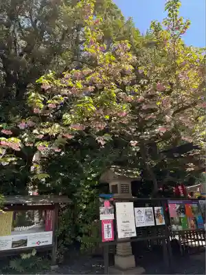 東京大神宮(東京都)