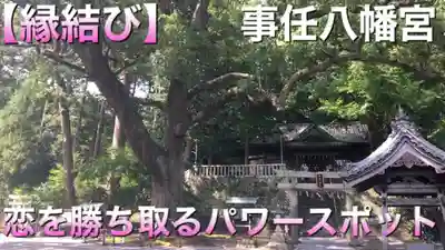 事任八幡宮(静岡県)