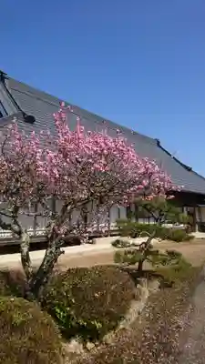 甲山寺の自然