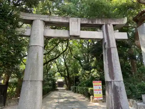 筥崎宮の鳥居