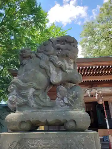 熊野福藏神社の狛犬