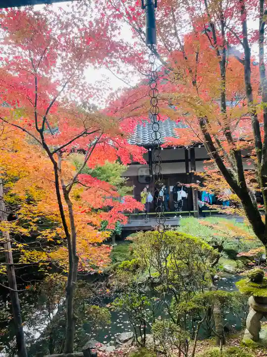 禅林寺(永観堂)(京都府)