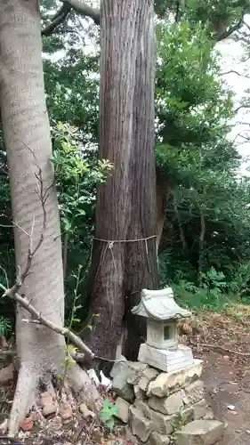 富士神社の末社