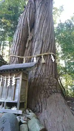 鎮守府八幡宮の自然