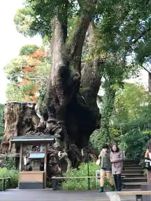 來宮神社(静岡県)