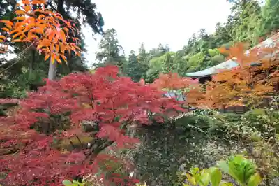 西山興隆寺(愛媛県)