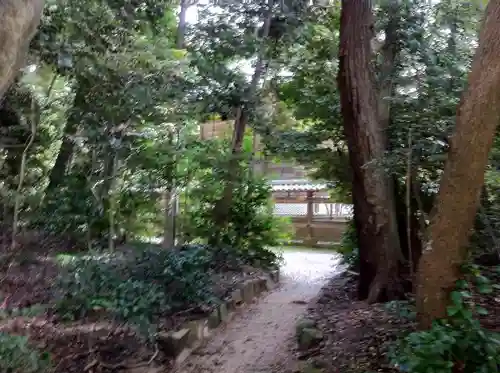 玉祖神社の自然