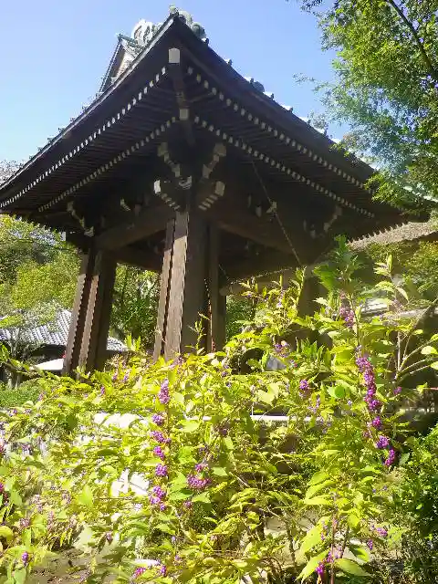 海蔵寺のその他建物