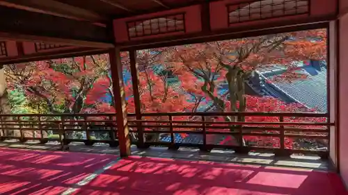 柳谷観音　楊谷寺(京都府)