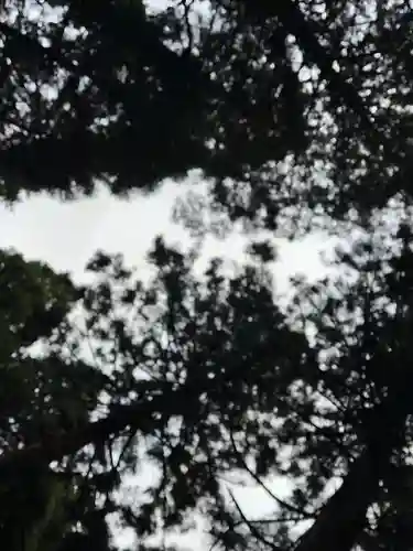 上色見熊野座神社(熊本県)