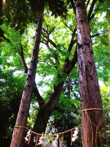 くまくま神社(導きの社 熊野町熊野神社)(東京都)
