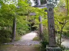 国宝　長寿寺(滋賀県)