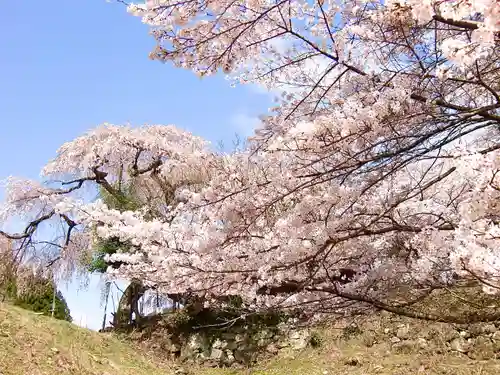 西光寺(奈良県)