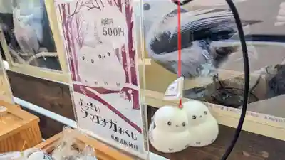 札幌護國神社のおみくじ