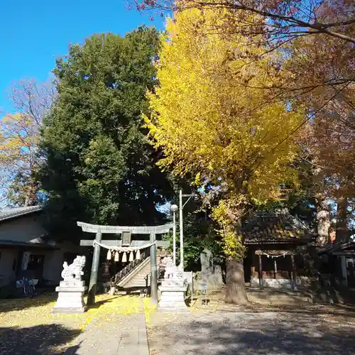 星宮神社の鳥居