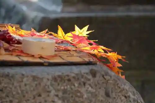 阿邪訶根神社の手水