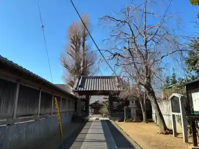 慶国寺(千葉県)