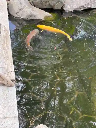 愛宕神社(東京都)