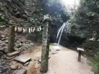 勝光寺の{uncategorized: "未分類", other: "その他", undefined: "問題あり", building: "その他建物", grave: "お墓", sacred_gate: "鳥居", guardian: "狛犬", statue: "像", buddha: "仏像", history: "歴史", nature: "自然", garden: "庭園", animal: "動物", pagoda: "塔", temizu: "手水舎", mountain_gate: "山門・神門", sanctuary: "本殿・本堂", subordinate: "末社・摂社", art: "芸術", scenery: "景色", jizo: "地蔵", ema: "絵馬", goshuin: "御朱印", omikuji: "おみくじ", items: "授与品その他", amulet: "お守り", goshuincho: "御朱印帳", eats: "食事", festival: "お祭り", votive_dance: "神楽", shichigosan: "七五三参", wedding: "結婚式", experience: "体験その他", initially: "初詣", around: "周辺", anti_infection: "感染症対策"}