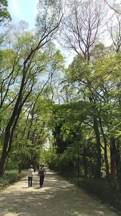 賀茂御祖神社(下鴨神社)の景色