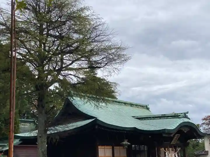 子鍬倉神社の本殿・本堂