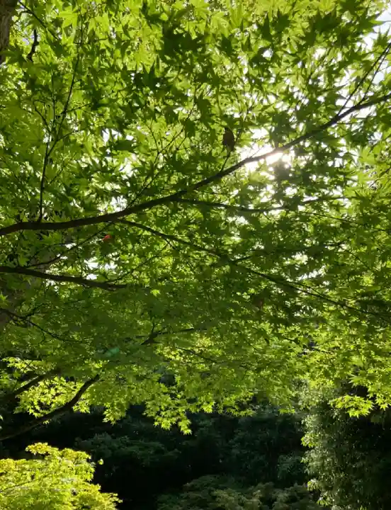 清荒神清澄寺の自然