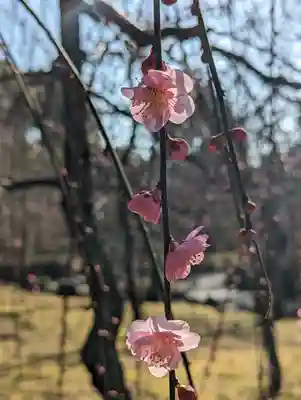 城南宮(京都府)