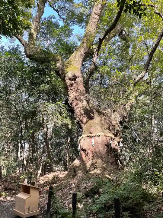 熱田神宮の自然