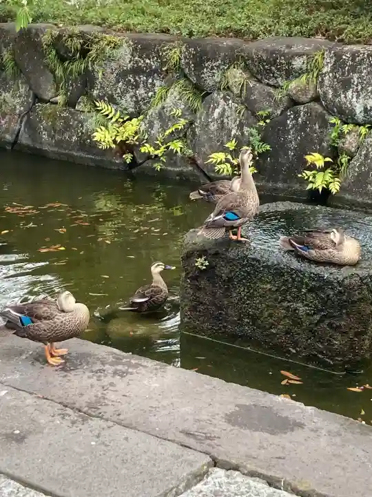 西新井大師総持寺(東京都)