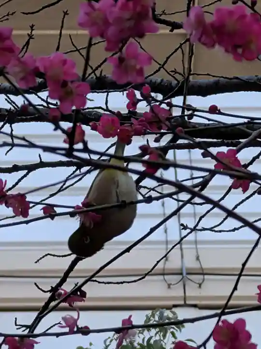 繁榮稲荷神社(東京都)