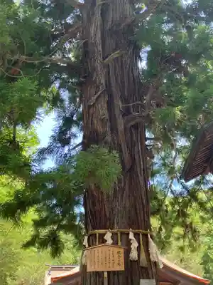 諏訪大社下社秋宮(長野県)