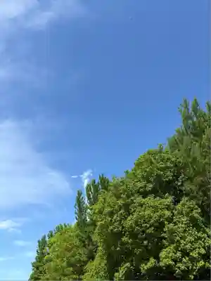 雀神社(茨城県)