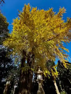 三栖神社(京都府)