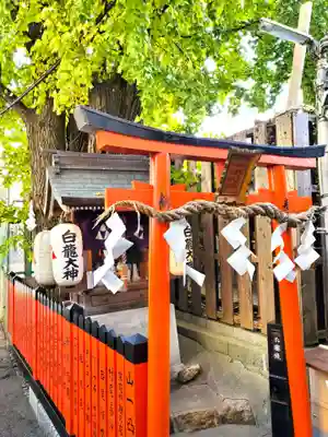 白龍大神社の本殿・本堂