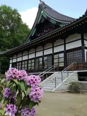浄国寺の本殿・本堂