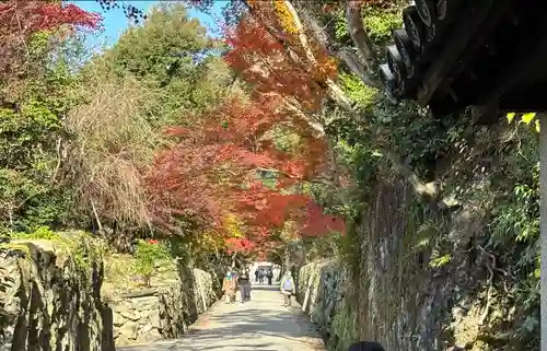 興聖寺（興聖寶林禅寺）(京都府)