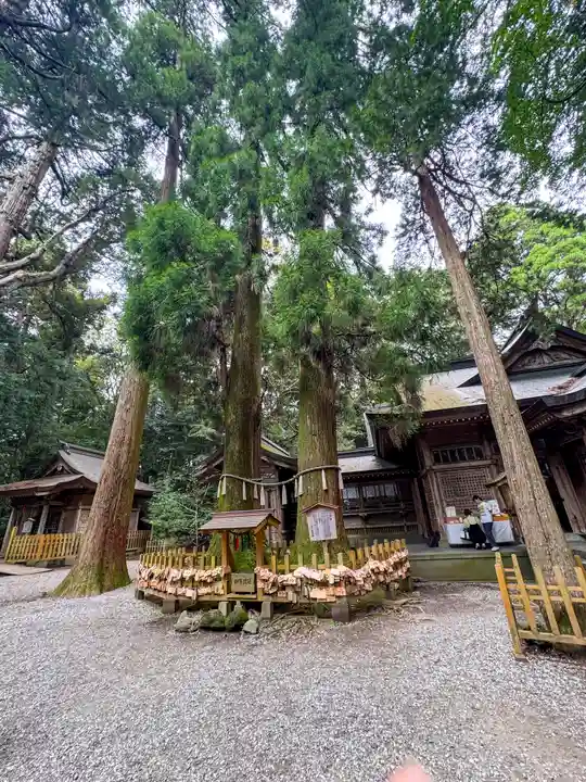 高千穂神社(宮崎県)