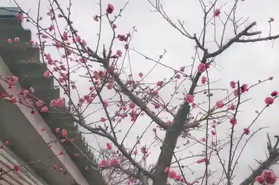 立浪稲荷大明神の自然