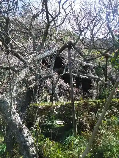 瑞泉寺のその他建物